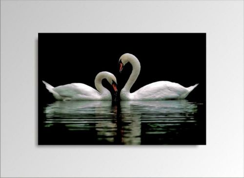 Digital Art vászonkép | 1222-S Swans ONE